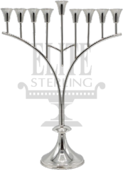 Vikal Menorah V8