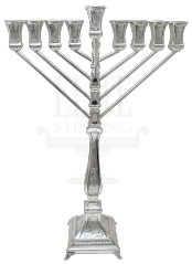 Chabad Gefen Mekushat Menorah